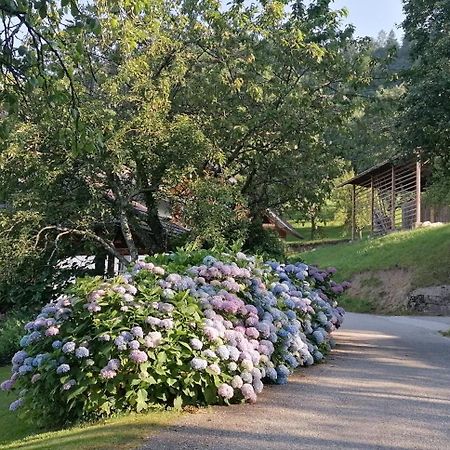 Apartma Na Ravnicah Cerkno Extérieur photo