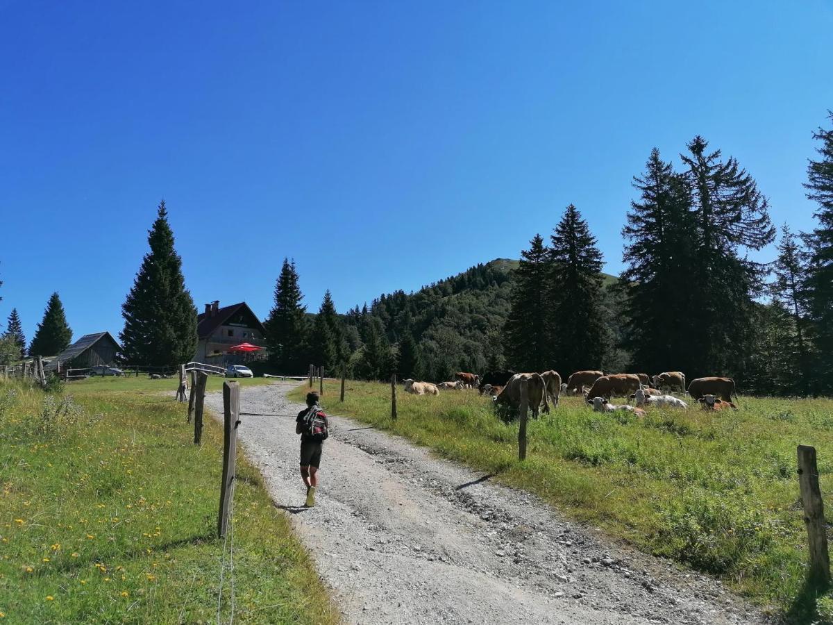 Apartma Na Ravnicah Cerkno Extérieur photo