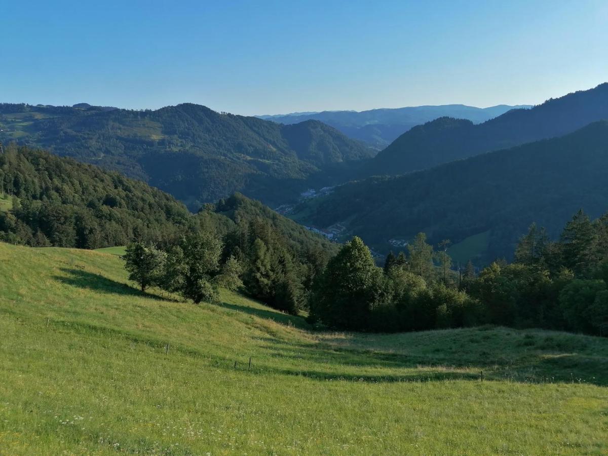 Apartma Na Ravnicah Cerkno Extérieur photo