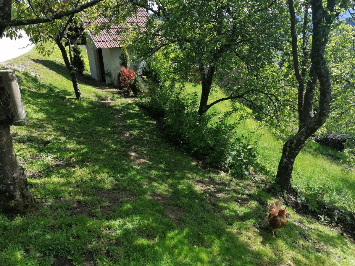 Apartma Na Ravnicah Cerkno Extérieur photo
