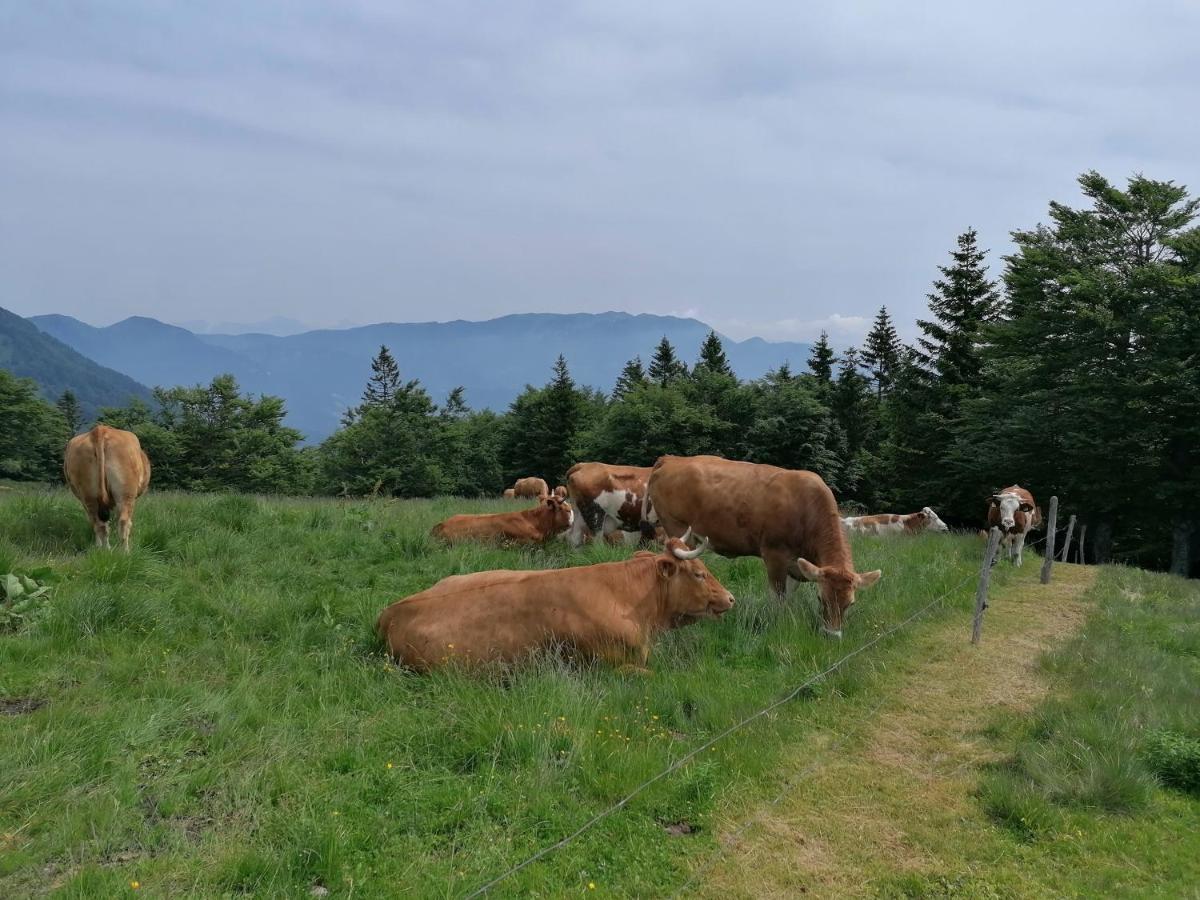Apartma Na Ravnicah Cerkno Extérieur photo