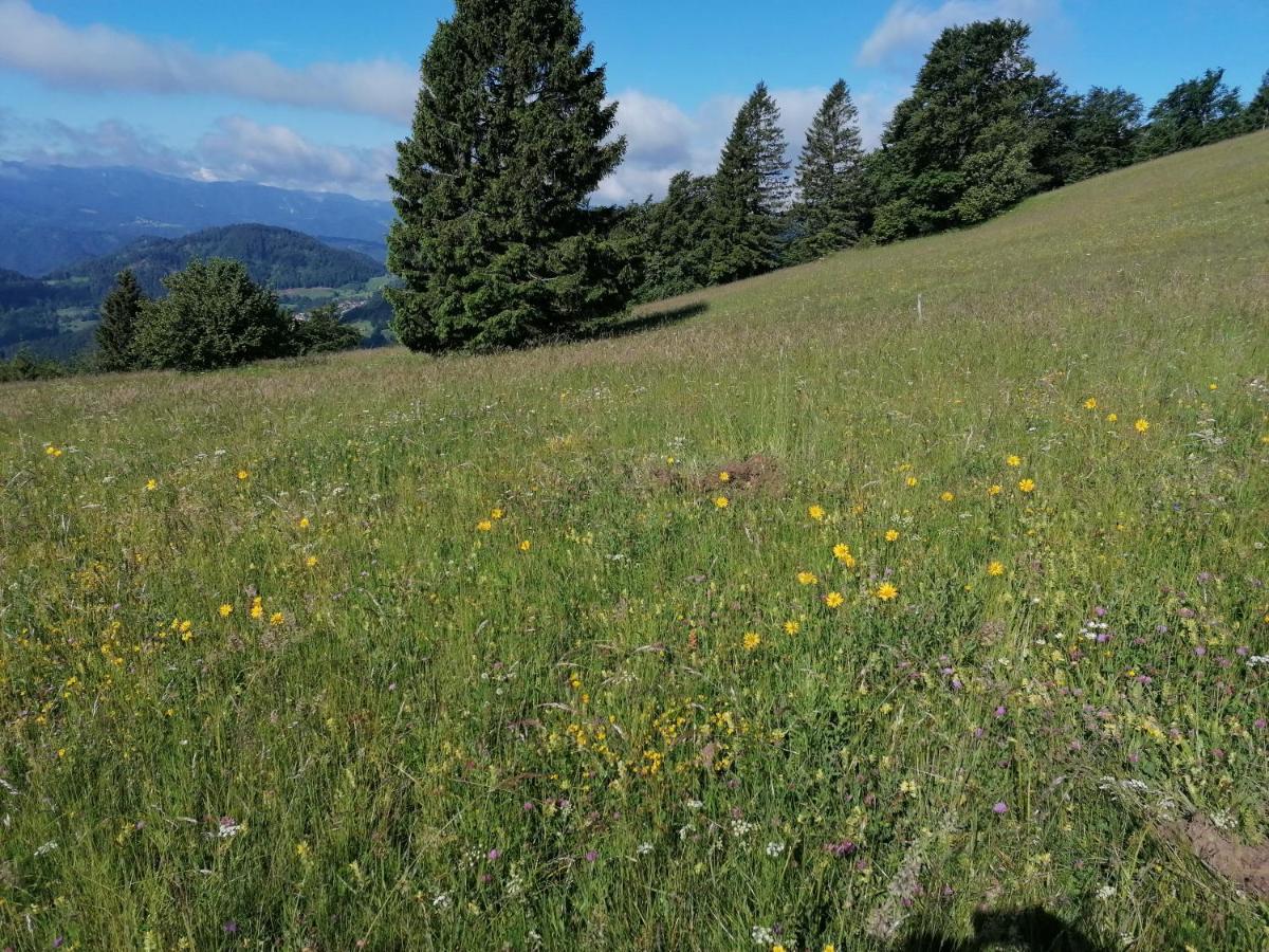 Apartma Na Ravnicah Cerkno Extérieur photo