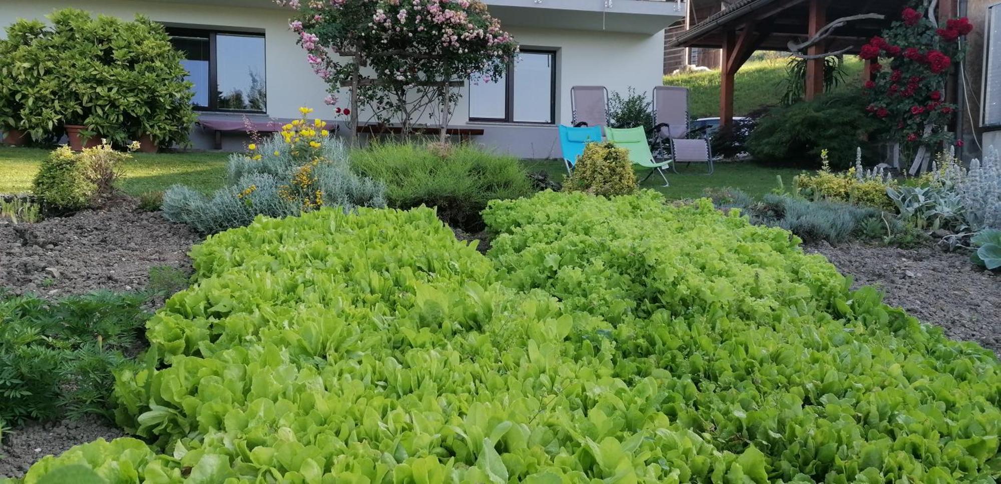 Apartma Na Ravnicah Cerkno Extérieur photo