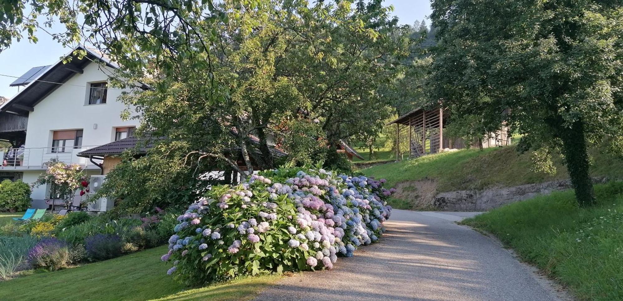 Apartma Na Ravnicah Cerkno Extérieur photo