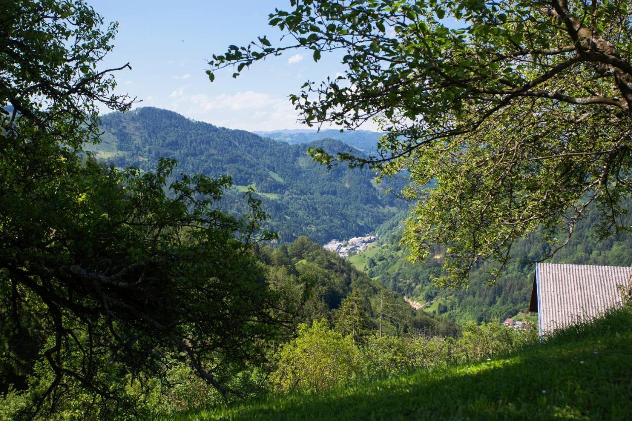 Apartma Na Ravnicah Cerkno Extérieur photo